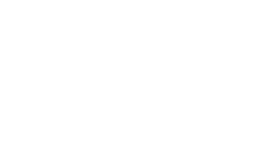 NET logo NET logo